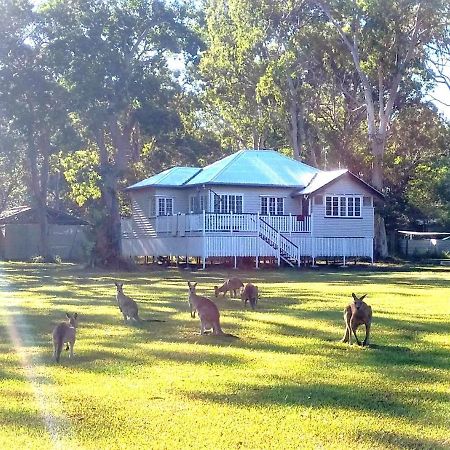 Lake Weyba Noosa Lodge & Kangaroos Peregian Beach Luaran gambar
