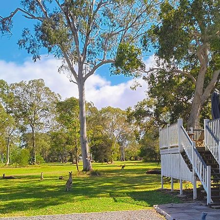 Lake Weyba Noosa Lodge & Kangaroos Peregian Beach Luaran gambar