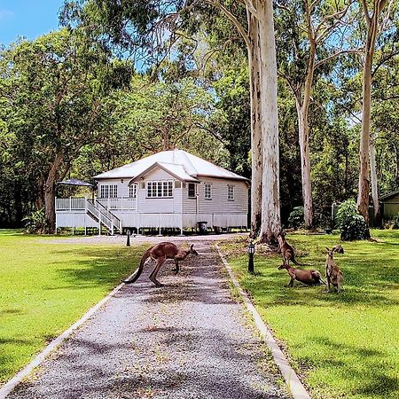 Lake Weyba Noosa Lodge & Kangaroos Peregian Beach Luaran gambar