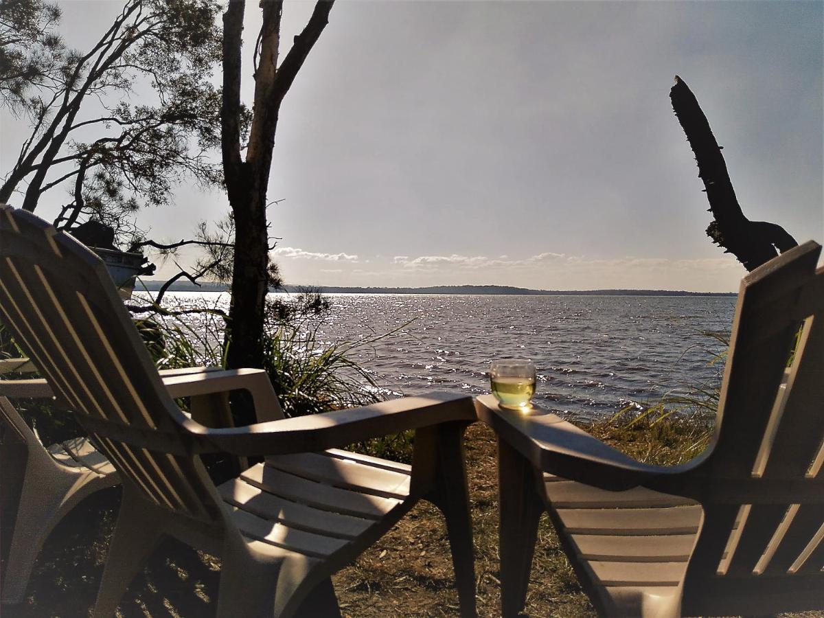 Lake Weyba Noosa Lodge & Kangaroos Peregian Beach Luaran gambar