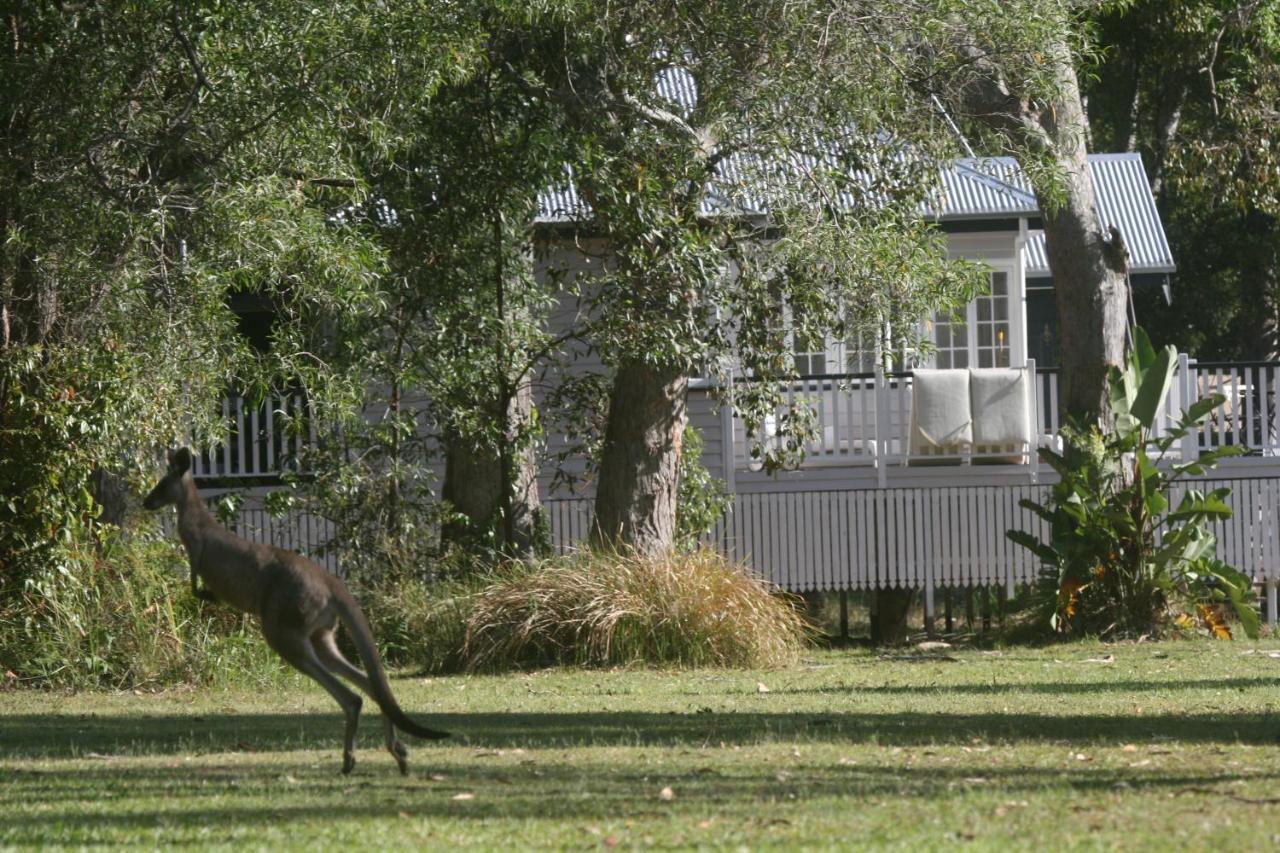 Lake Weyba Noosa Lodge & Kangaroos Peregian Beach Luaran gambar
