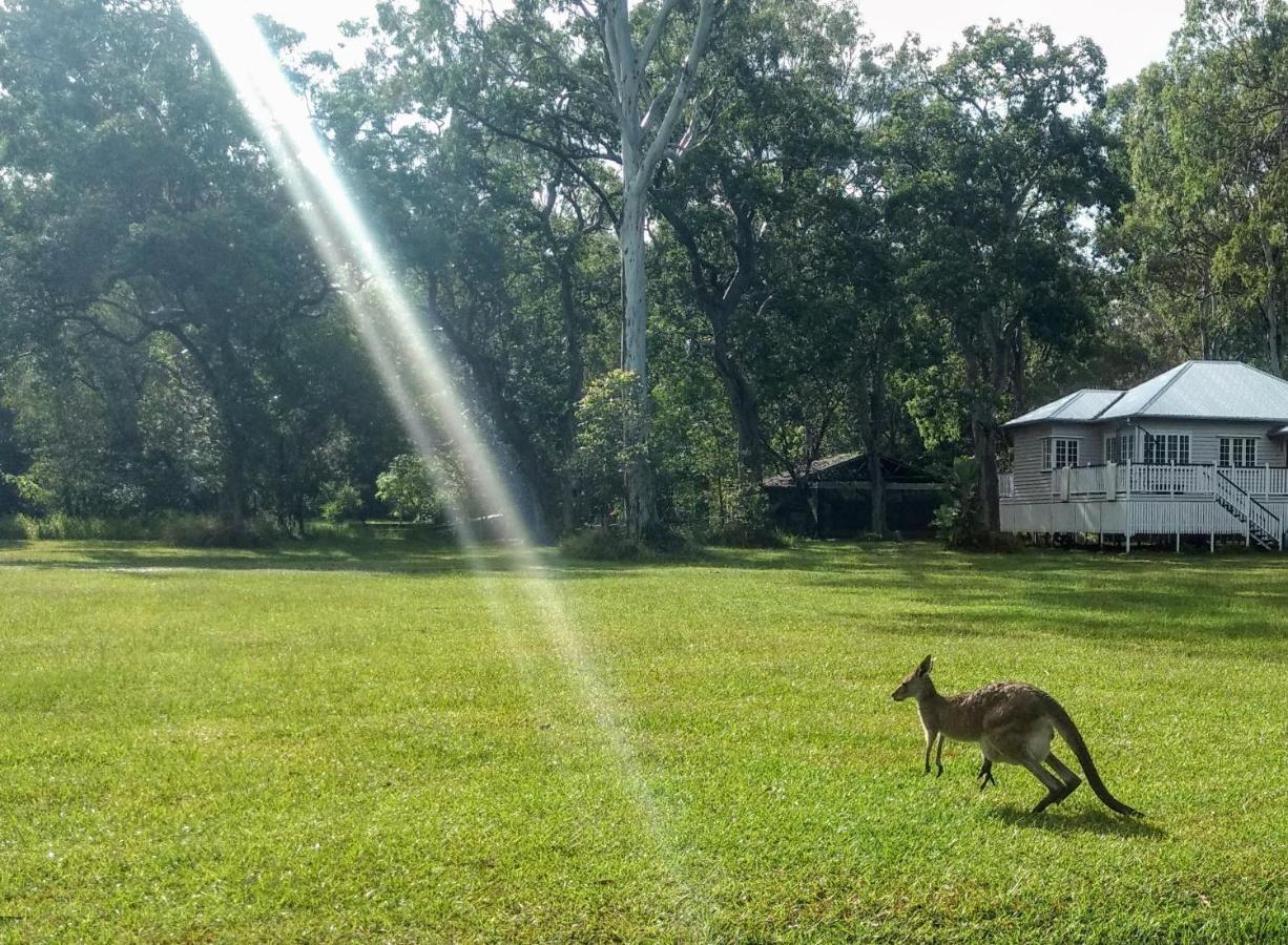 Lake Weyba Noosa Lodge & Kangaroos Peregian Beach Luaran gambar