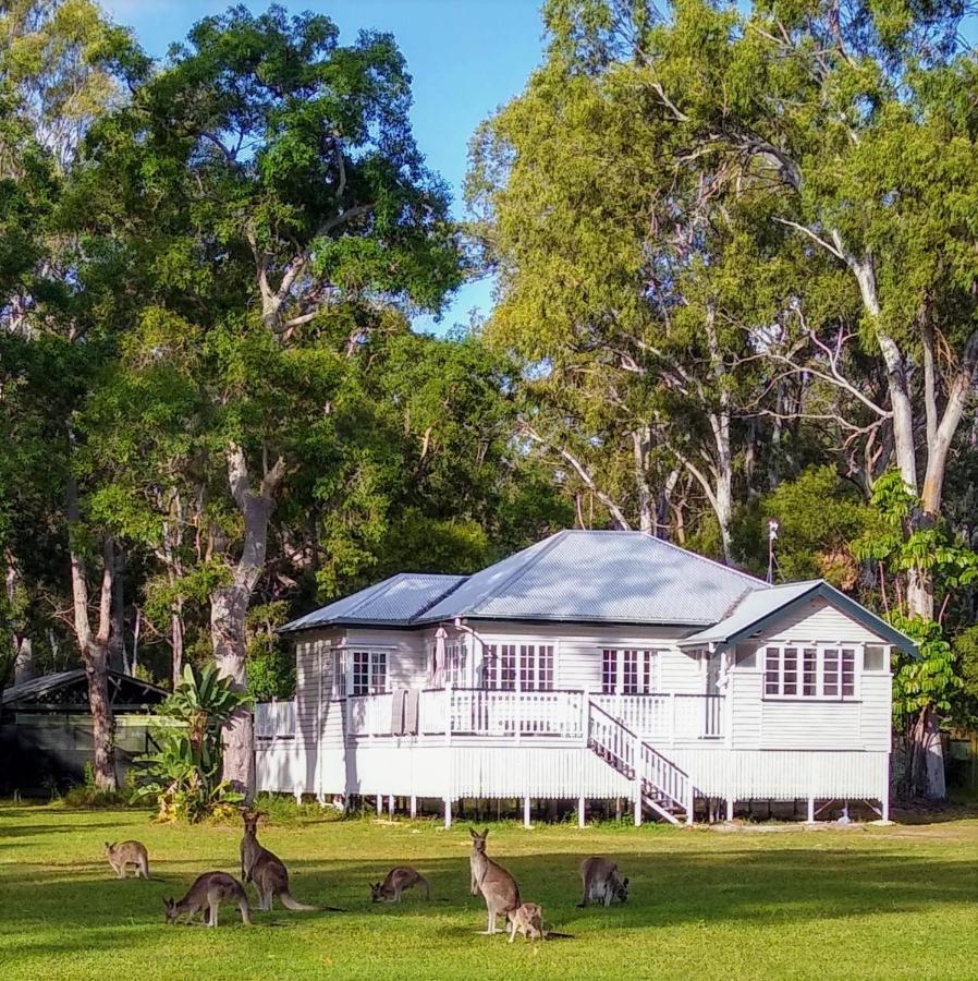Lake Weyba Noosa Lodge & Kangaroos Peregian Beach Luaran gambar