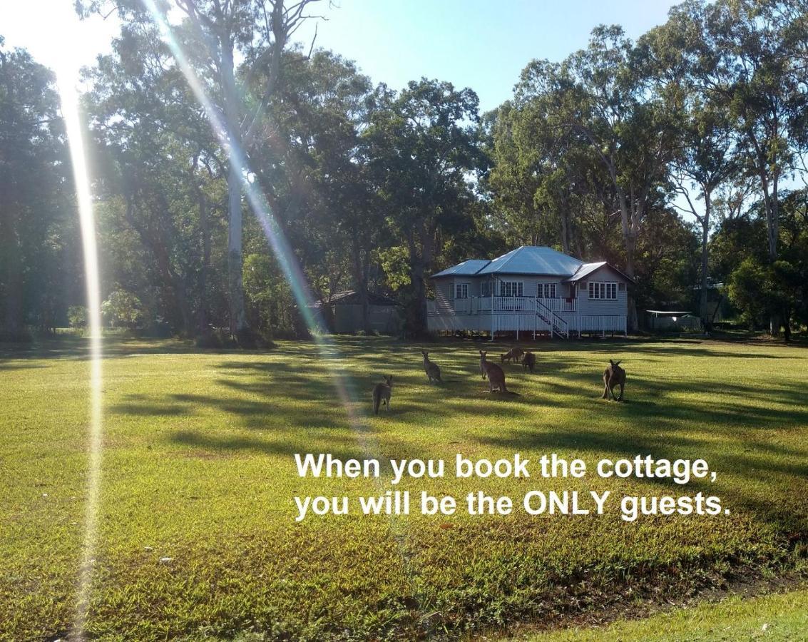 Lake Weyba Noosa Lodge & Kangaroos Peregian Beach Luaran gambar