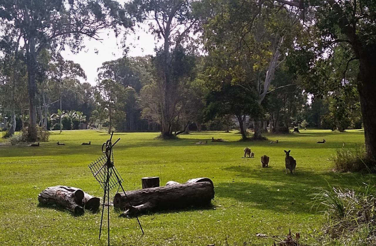Lake Weyba Noosa Lodge & Kangaroos Peregian Beach Luaran gambar