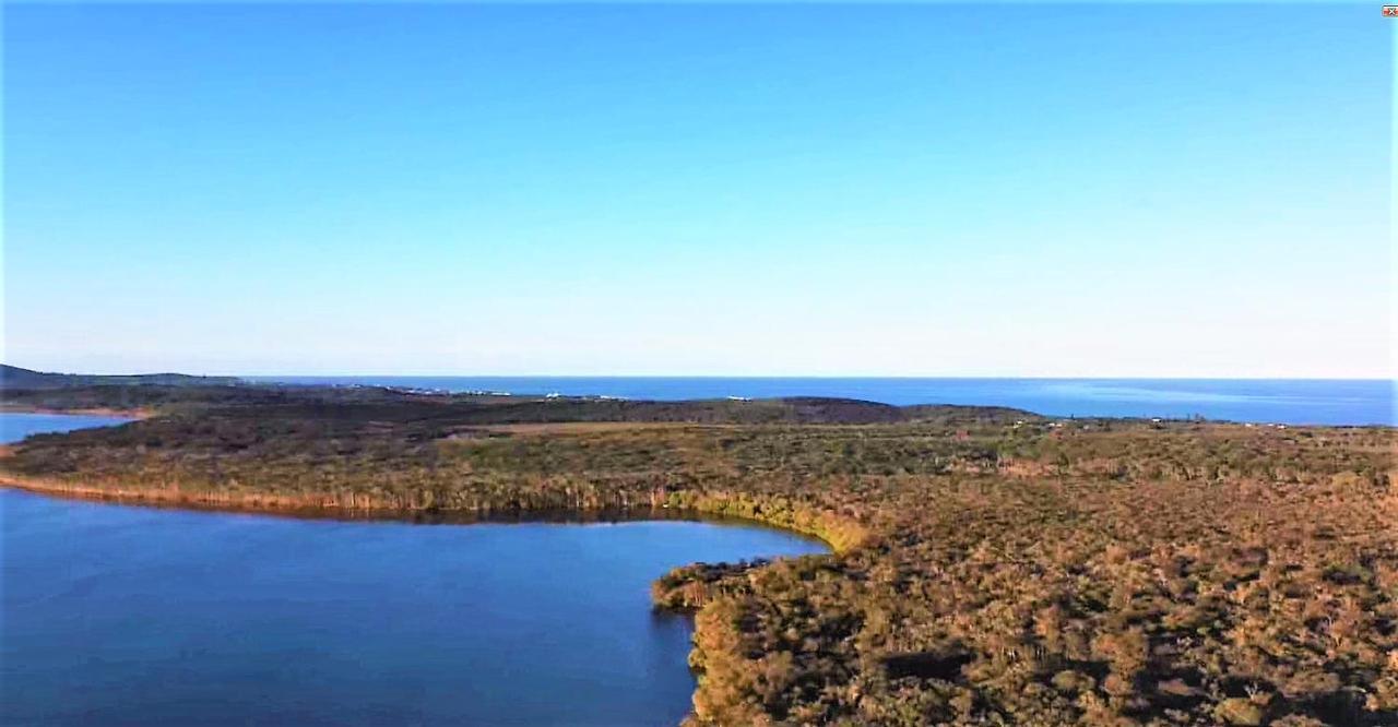 Lake Weyba Noosa Lodge & Kangaroos Peregian Beach Luaran gambar