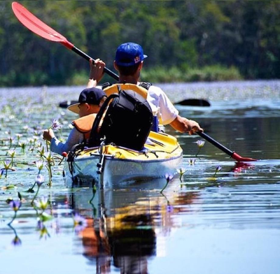 Lake Weyba Noosa Lodge & Kangaroos Peregian Beach Luaran gambar