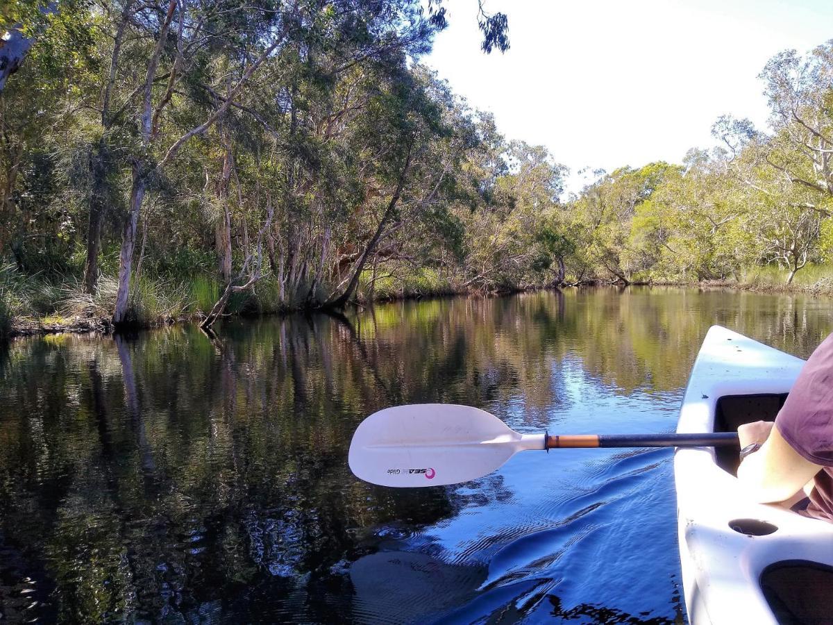 Lake Weyba Noosa Lodge & Kangaroos Peregian Beach Luaran gambar