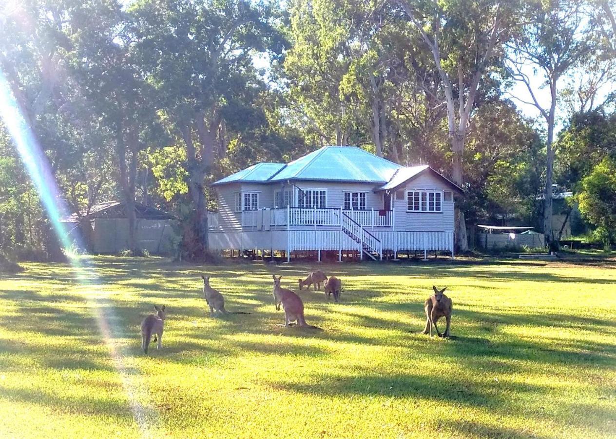 Lake Weyba Noosa Lodge & Kangaroos Peregian Beach Luaran gambar
