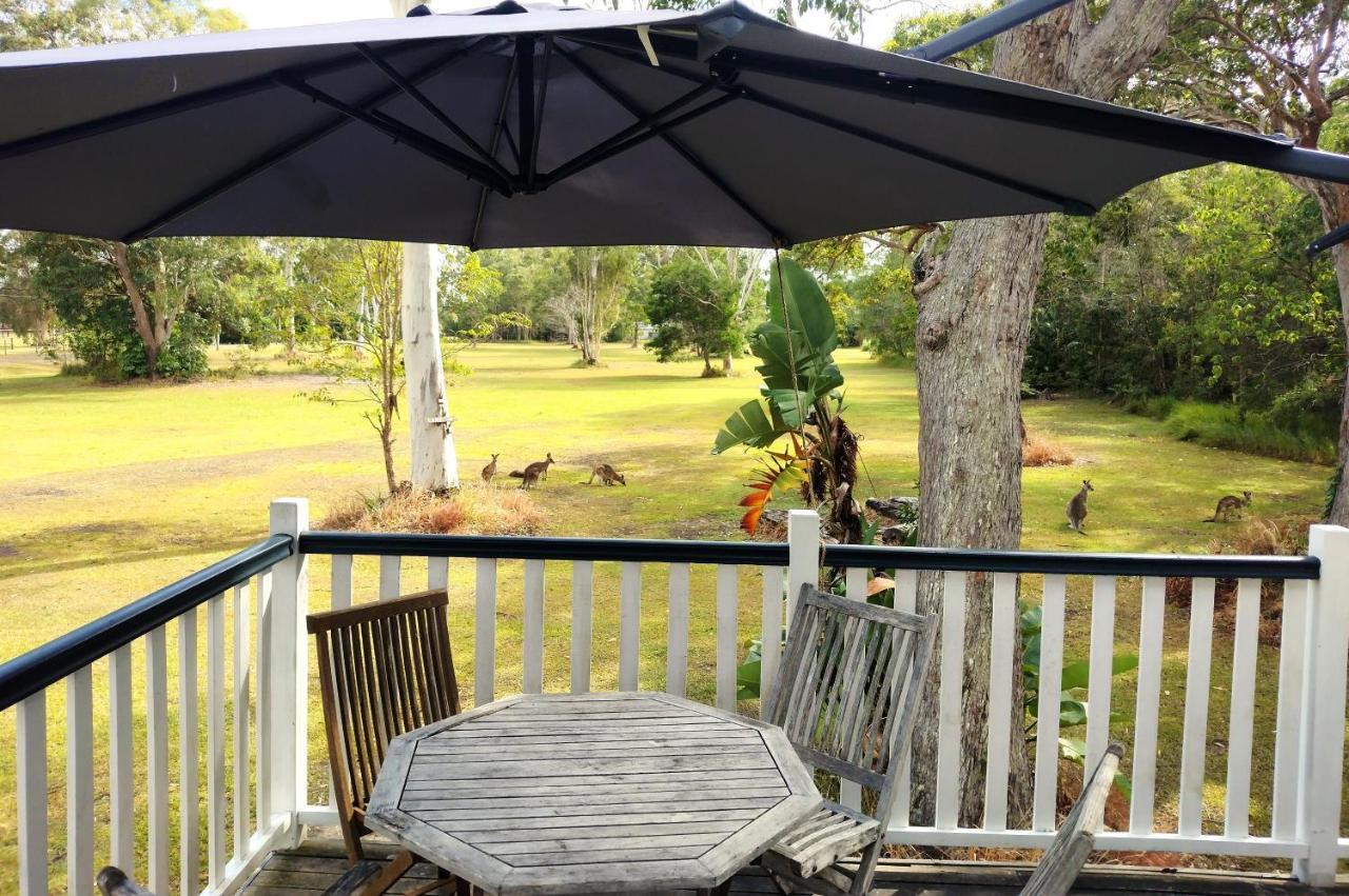 Lake Weyba Noosa Lodge & Kangaroos Peregian Beach Luaran gambar