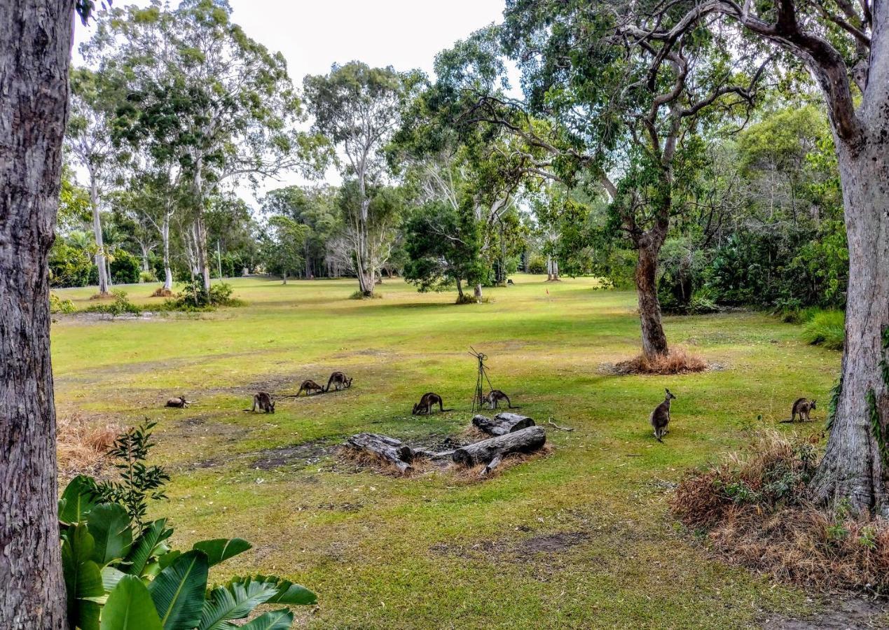 Lake Weyba Noosa Lodge & Kangaroos Peregian Beach Luaran gambar