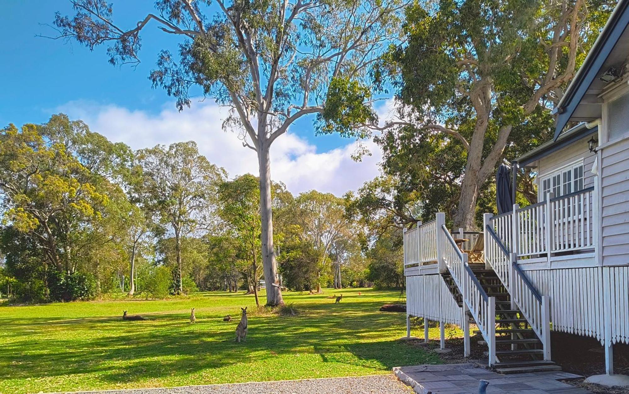 Lake Weyba Noosa Lodge & Kangaroos Peregian Beach Luaran gambar