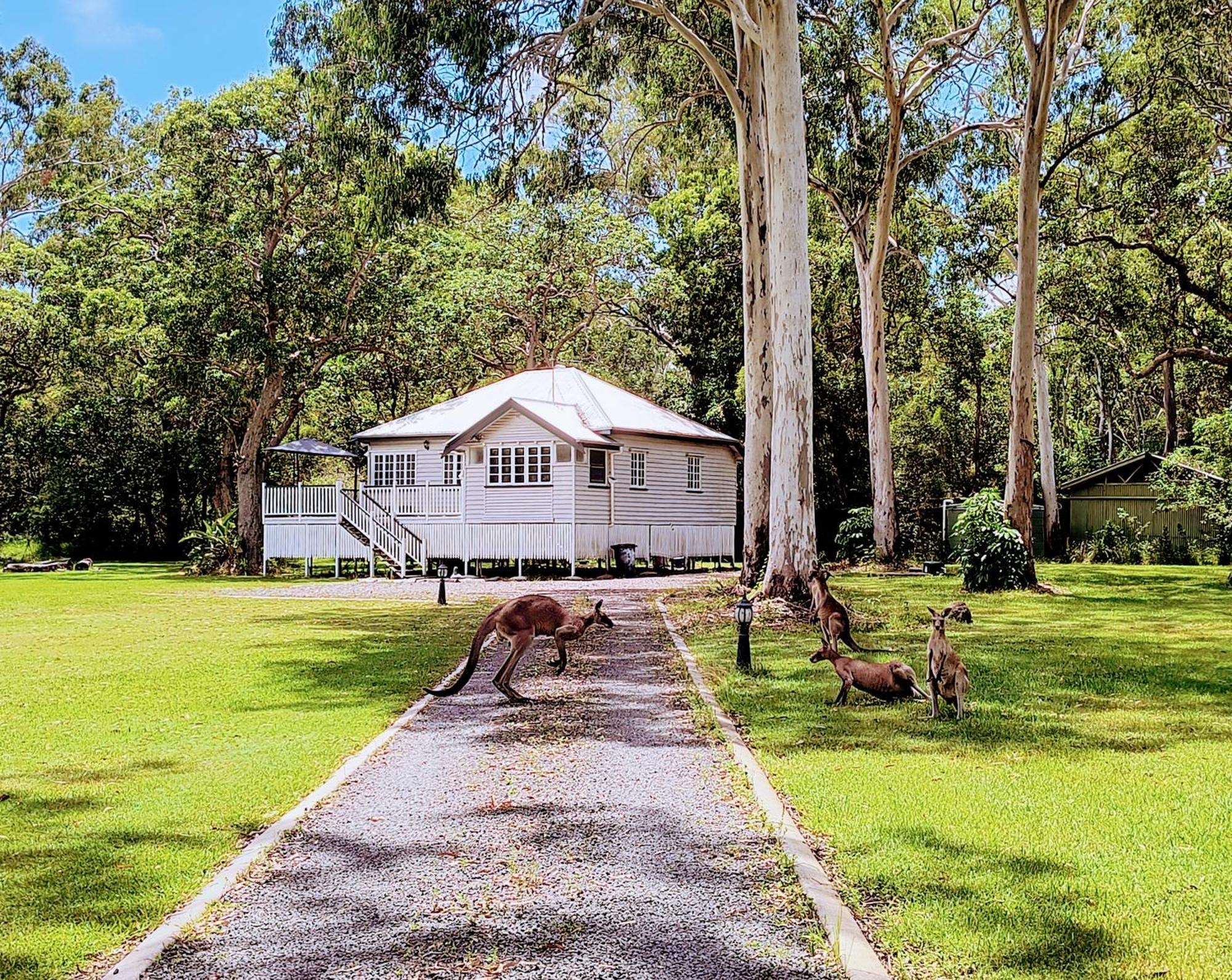 Lake Weyba Noosa Lodge & Kangaroos Peregian Beach Luaran gambar